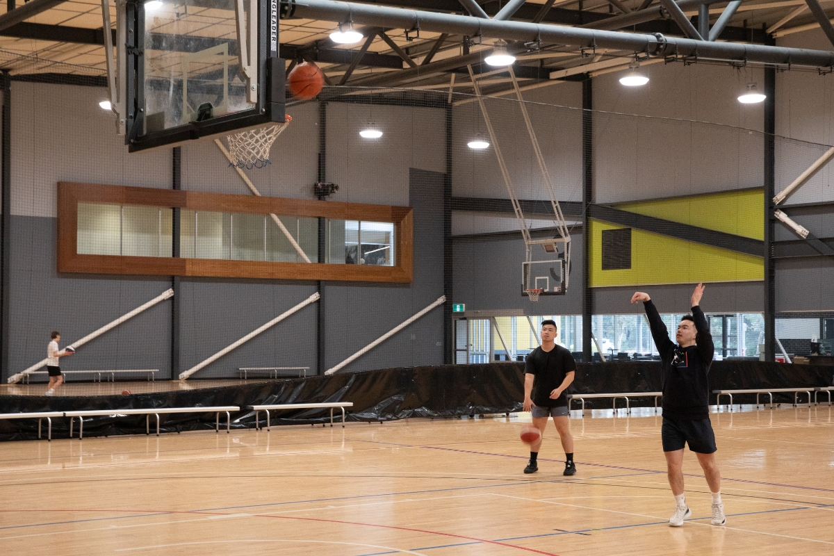 Basketball Court